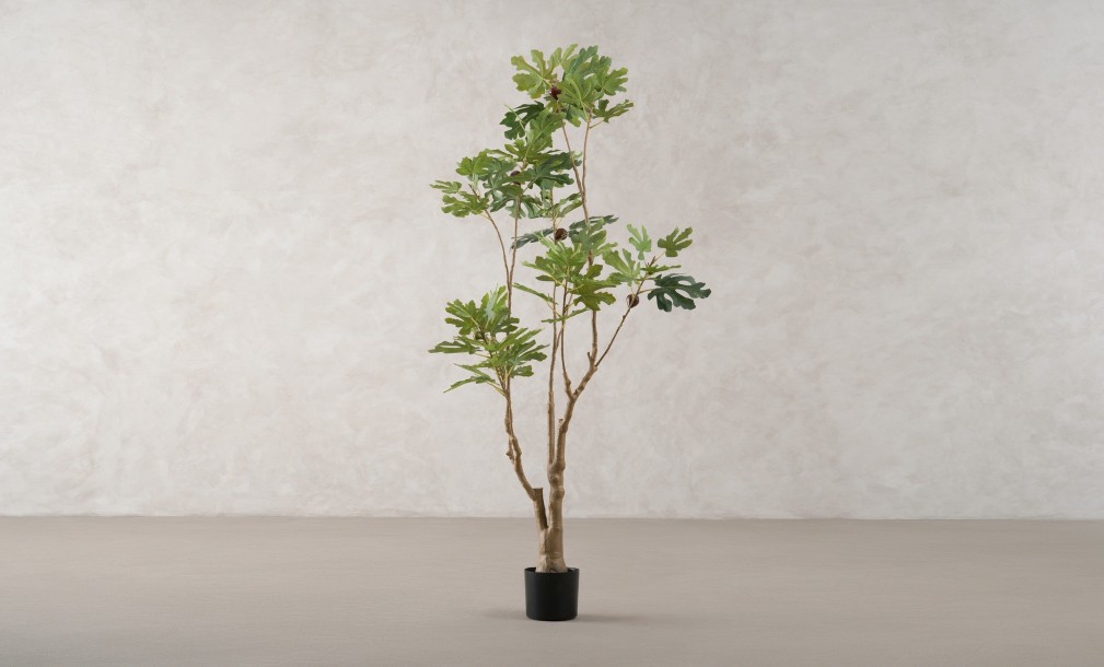 Artificial Fig Tree, H 180 cm
