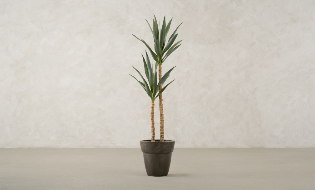 Artificial YuccaTree, H 133 cm
