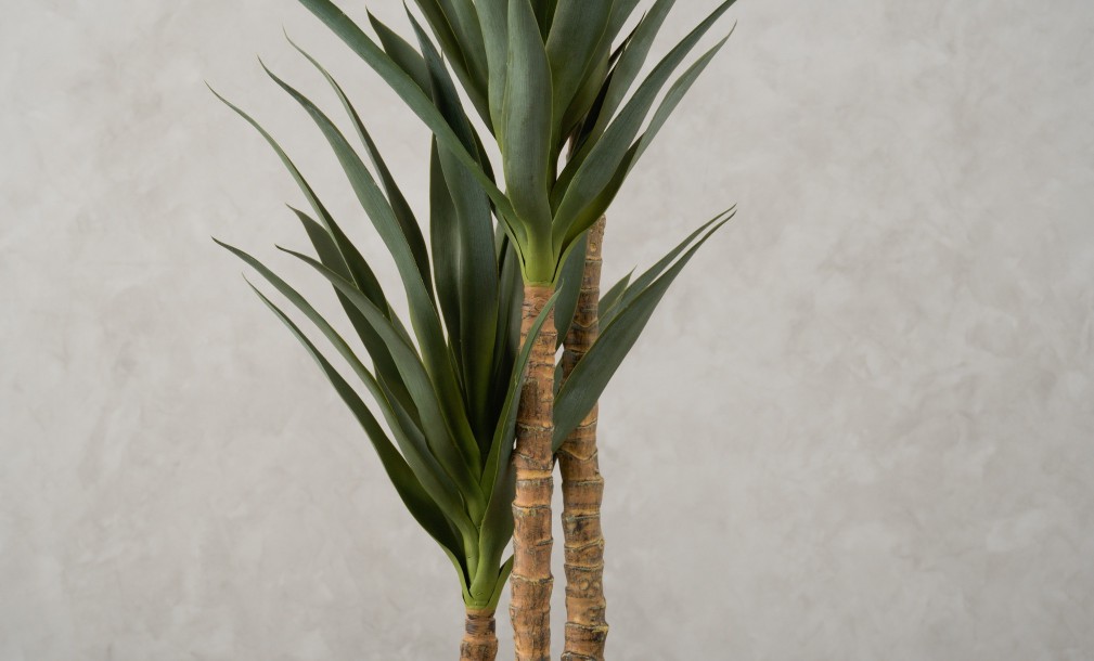 Artificial Yucca Tree, H 180 cm