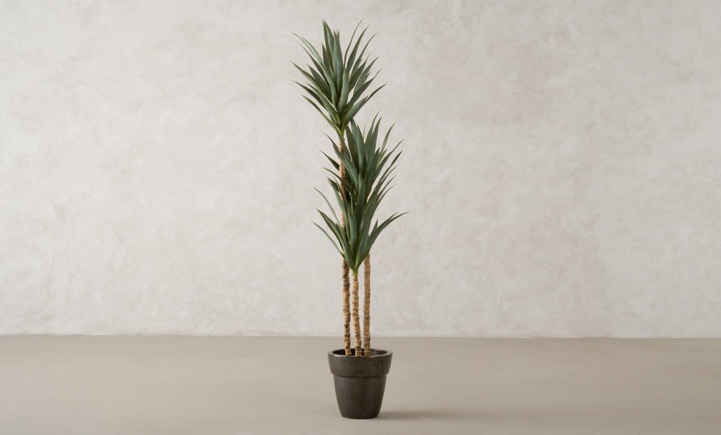 Artificial Yucca Tree, H 180 cm