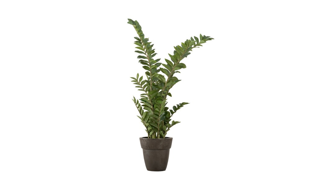 Artificial Plant Zamioculcas, H 130 cm