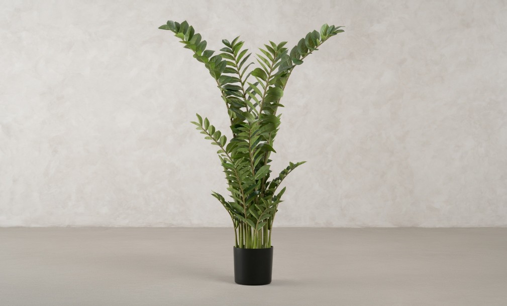 Artificial Plant Zamioculcas, H 130 cm