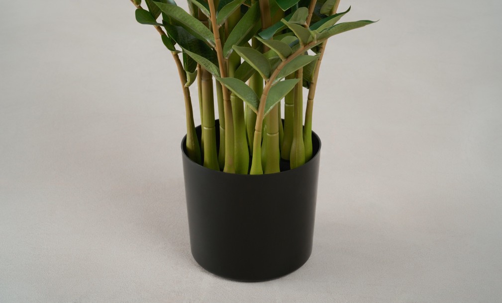 Artificial Plant Zamioculcas, H 130 cm