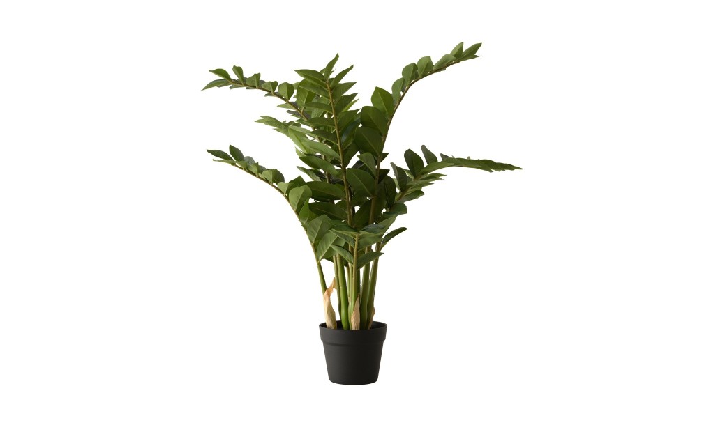 Artificial Plant Zamioculcas, H 90 cm