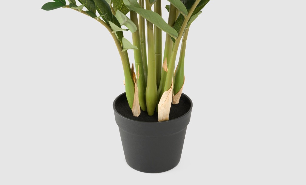 Artificial Plant Zamioculcas, H 90 cm