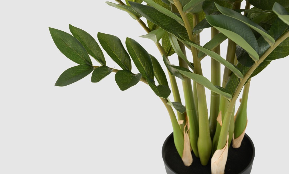 Artificial Plant Zamioculcas, H 90 cm
