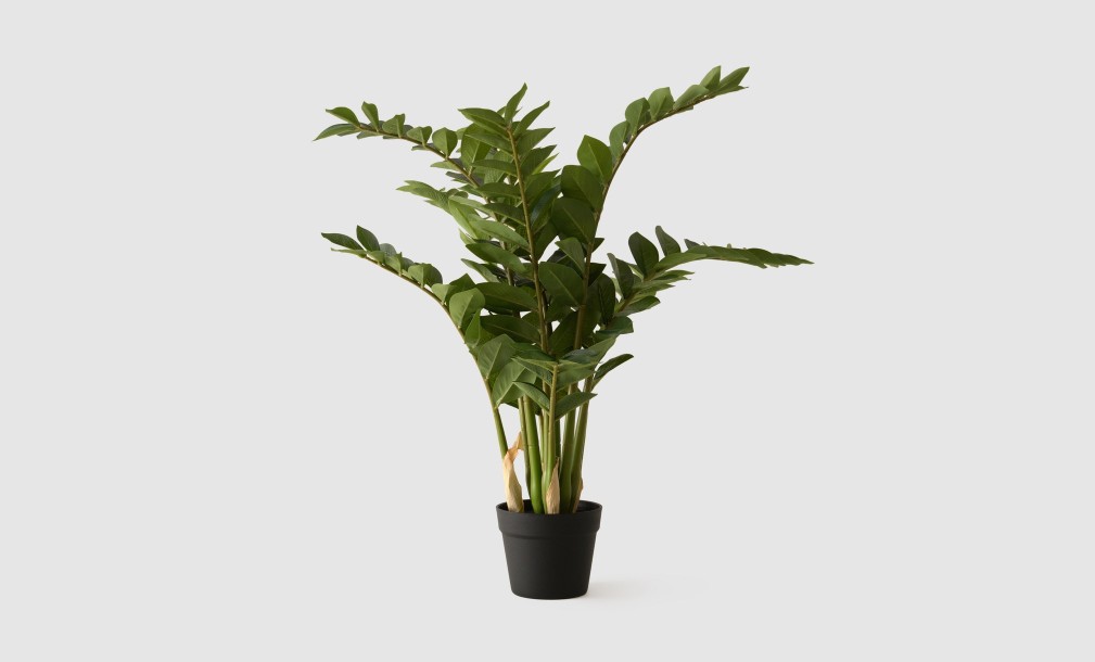 Artificial Plant Zamioculcas, H 90 cm