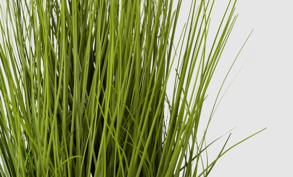Artificial Plant Onion Grass Green, H 70 cm