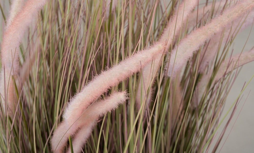 Artificial Plant Onion Grass, H 97 cm