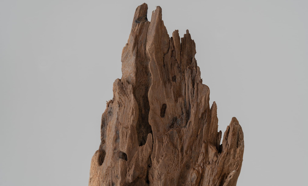 Teak Wooden Sculpture On Stand
