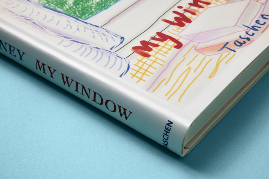 Hockney, My Window