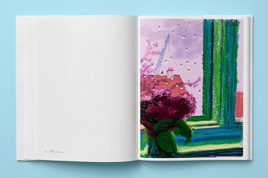 Hockney, My Window