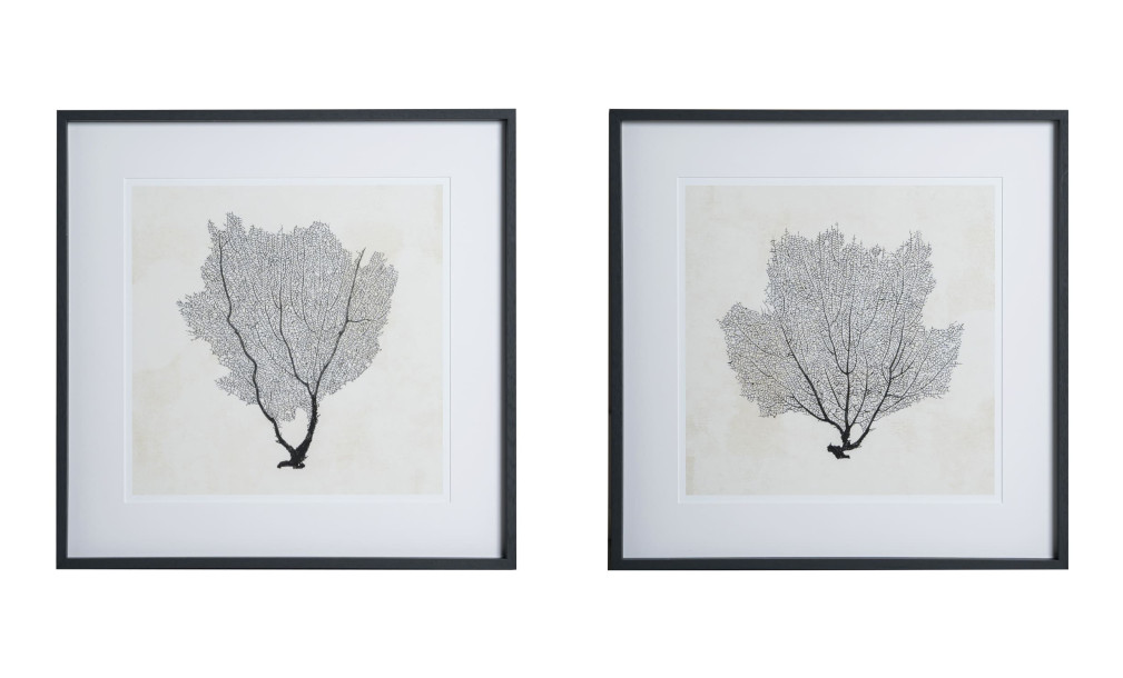 Sea Fan Sketches Set of 2 Posters