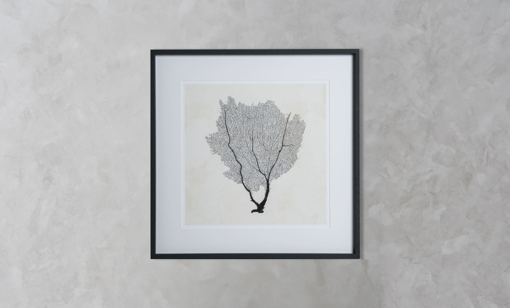 Sea Fan Sketches Set of 2 Posters