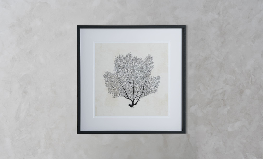 Sea Fan Sketches Set of 2 Posters