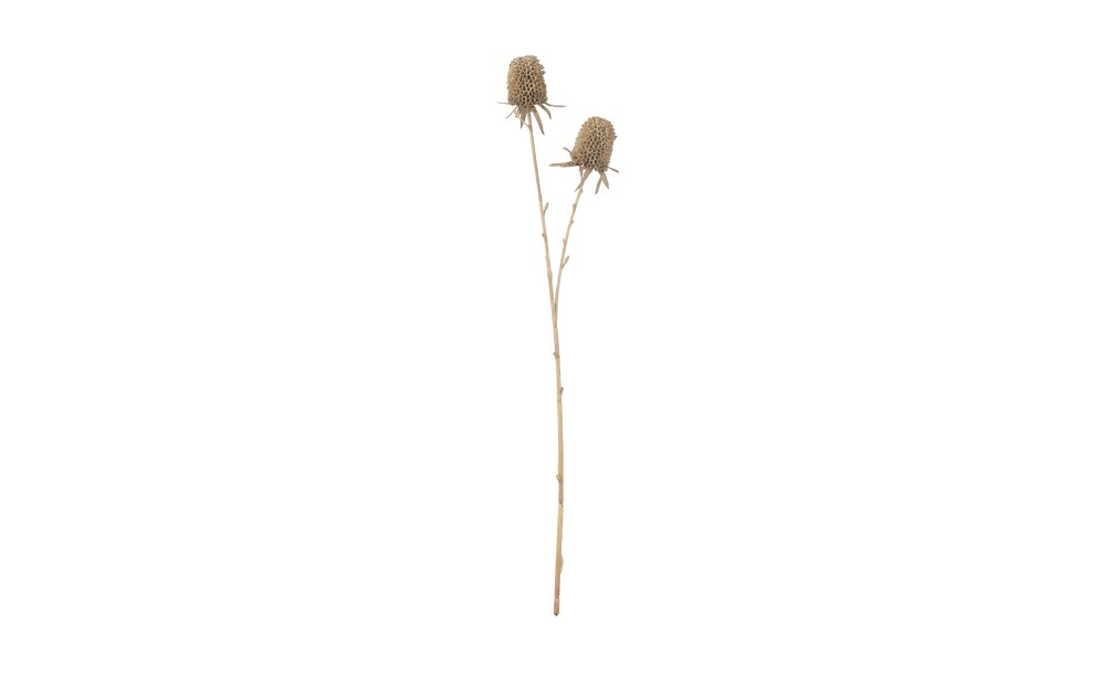 Marigold Ball Artificial M