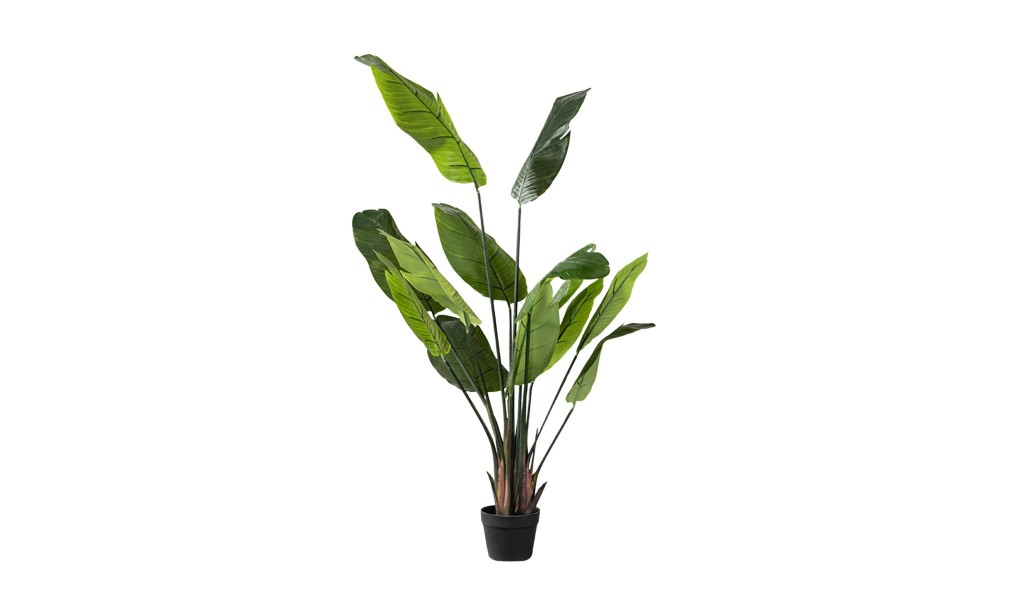 Strelitzia Traveler Decorative Plant Green (13 leaves)