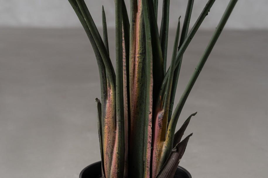 Strelitzia Traveler Decorative Plant Green (13 leaves)