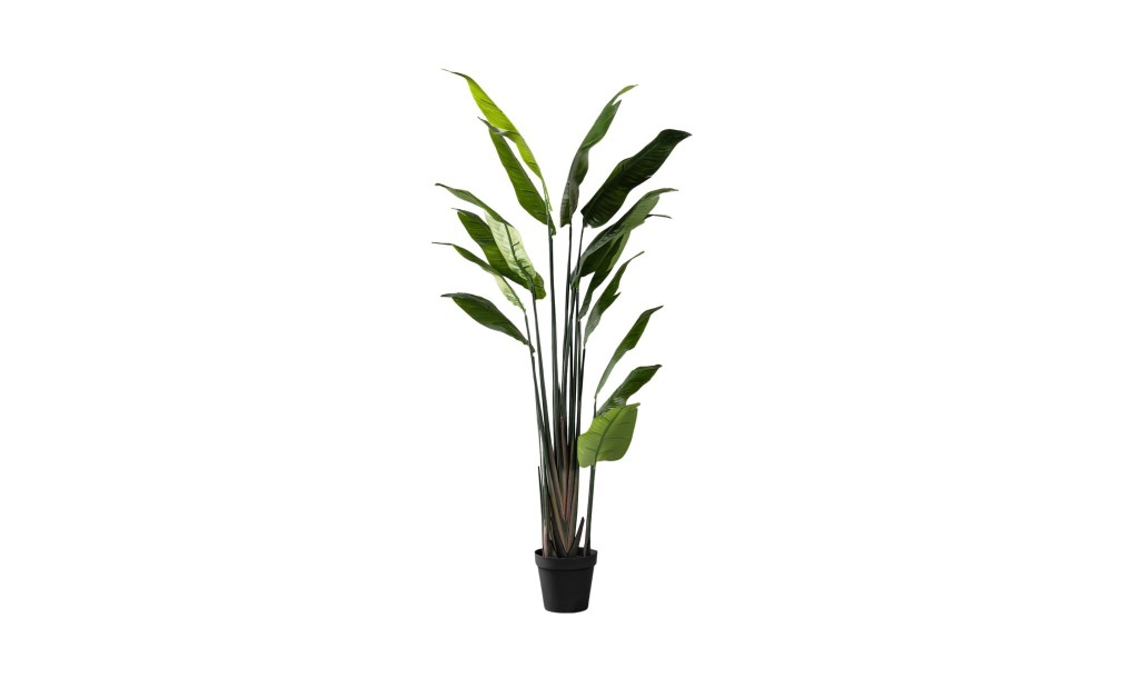 Strelitzia Traveler Decorative Plant Green (18 leaves)