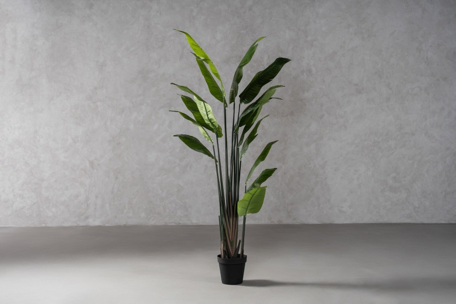Strelitzia Traveler Decorative Plant Green (18 leaves)