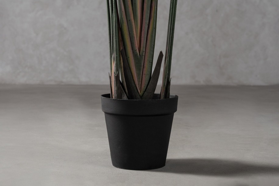 Strelitzia Traveler Decorative Plant Green (18 leaves)