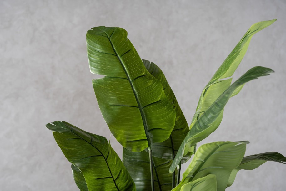 Strelitzia Traveler Decorative Plant Green (18 leaves)