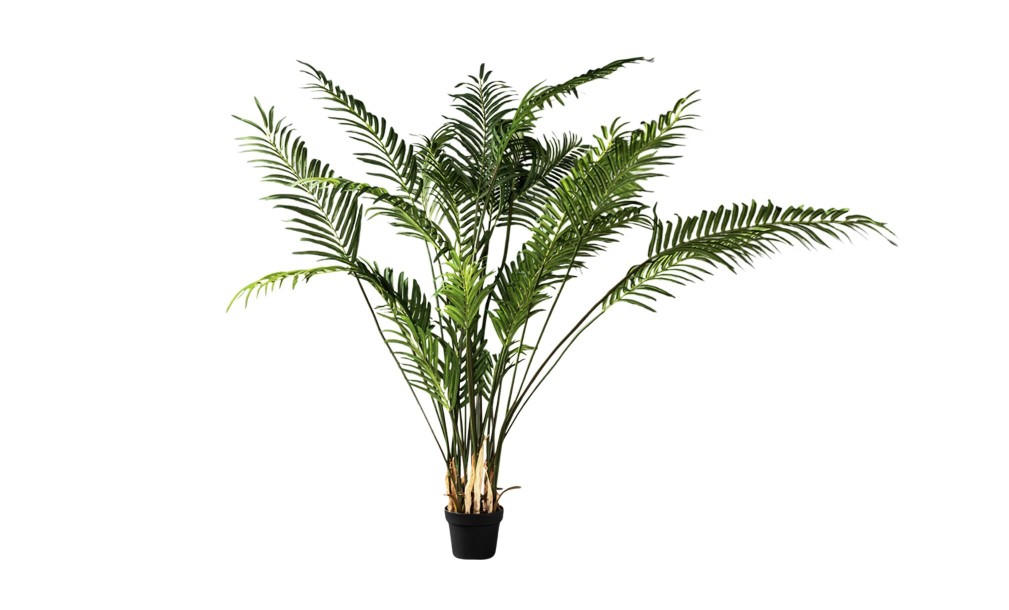 Areca Palm Forest Decorative Plant 170 cm