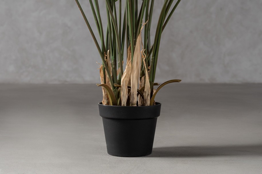Areca Palm Forest Decorative Plant 170 cm