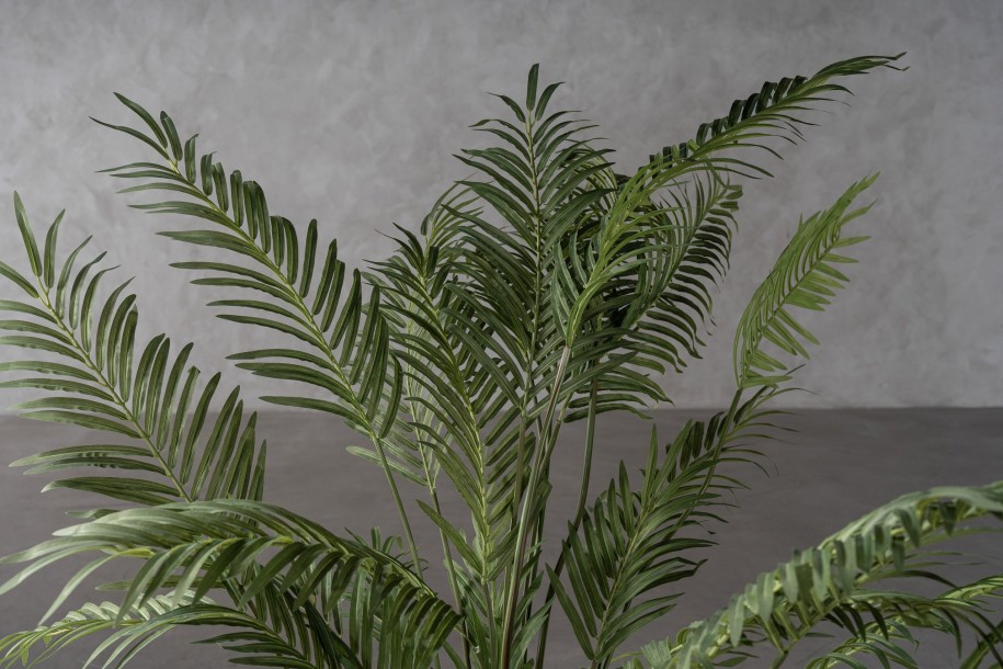 Areca Palm Forest Decorative Plant 170 cm
