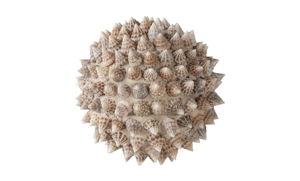 Pike Ball Shells White L