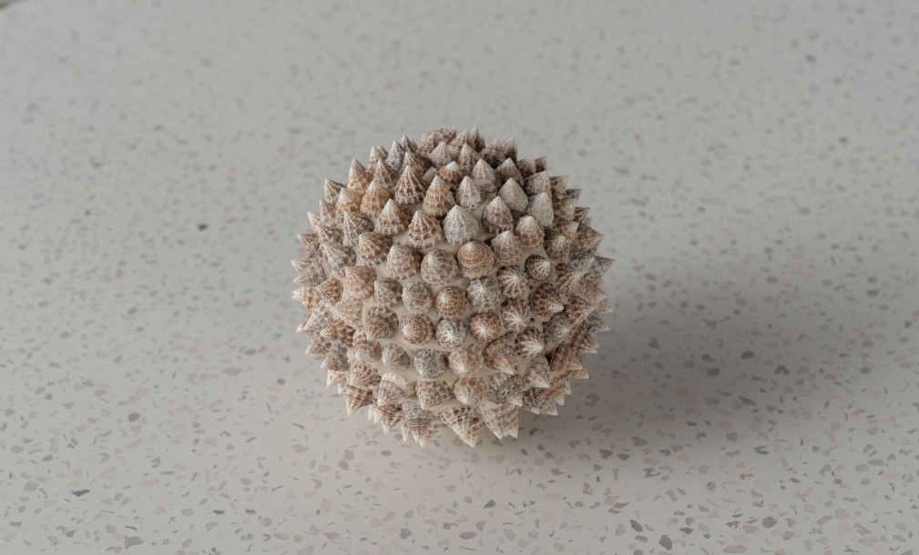 Pike Ball Shells White L