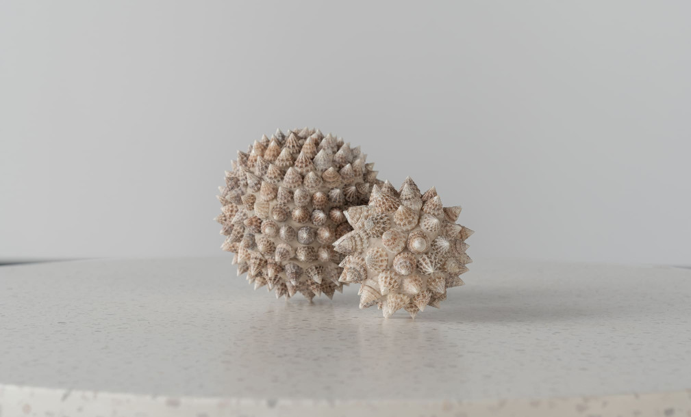 Pike Ball Shells White L