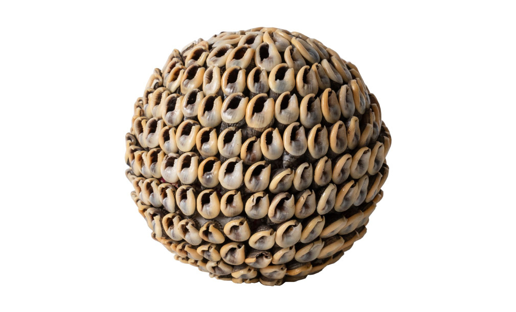 Noa Ball Shells Brown S