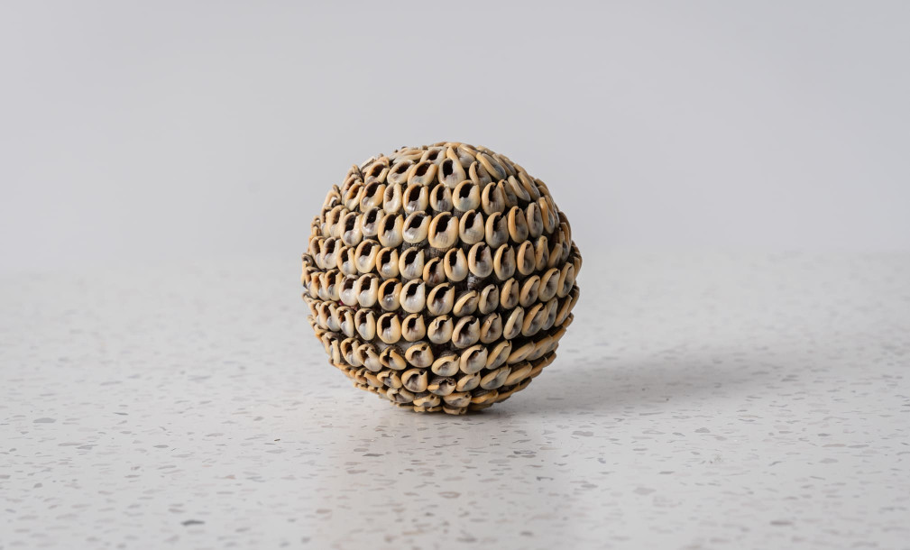 Noa Ball Shells Brown S