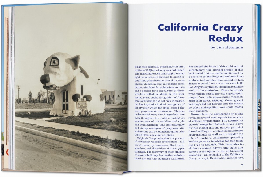 California Crazy. American Pop Architecture