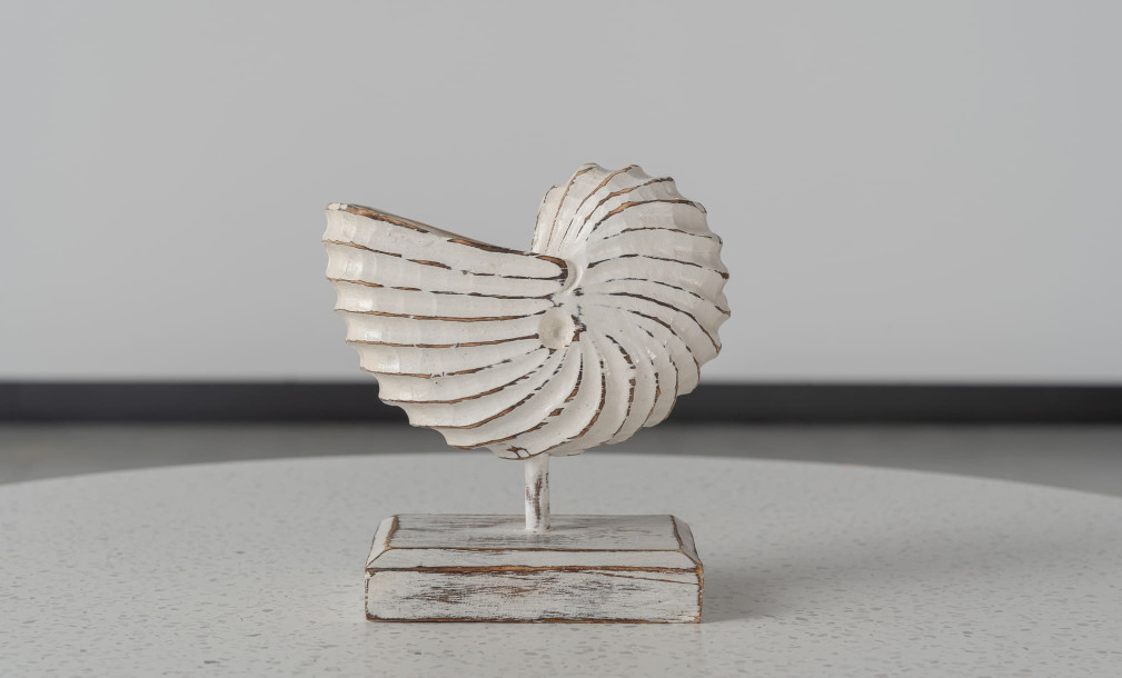 Wooden Decoration Motive Seashell White Medium