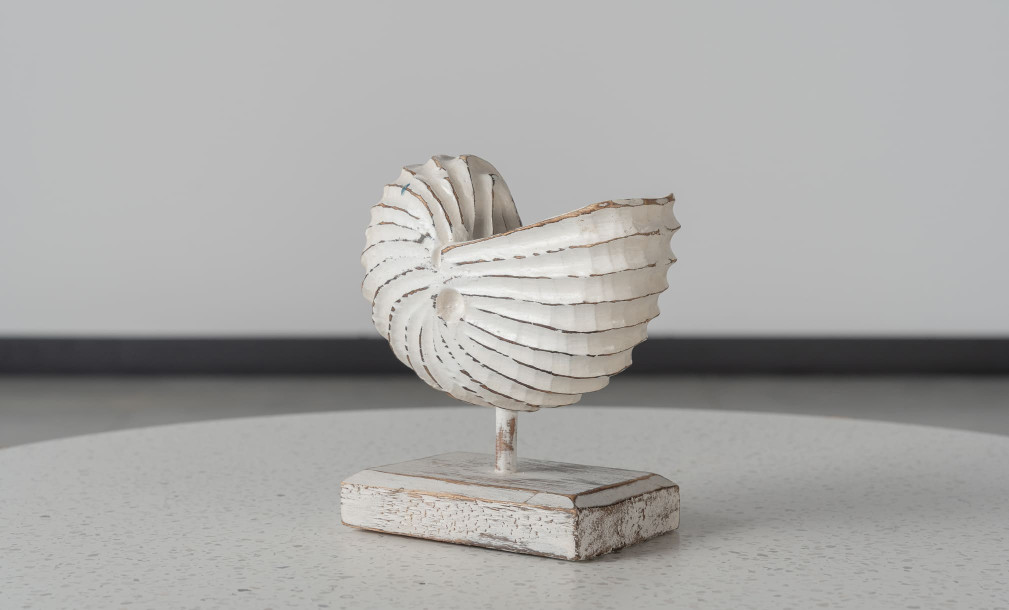 Wooden Decoration Motive Seashell White Medium