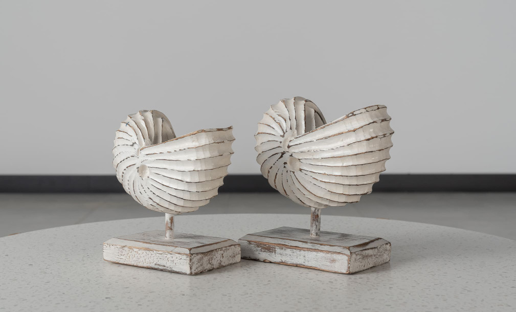 Wooden Decoration Motive Seashell White Medium