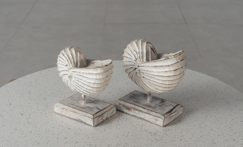 Wooden Decoration Motive Seashell White Medium