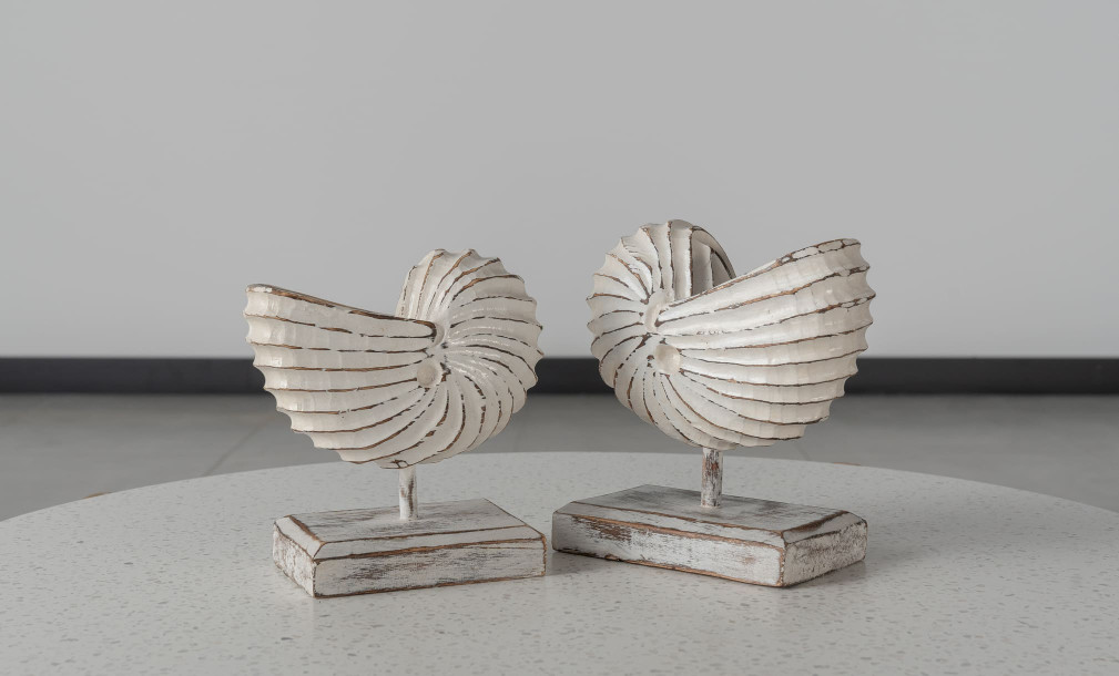 Wooden Decoration Motive Seashell White Medium