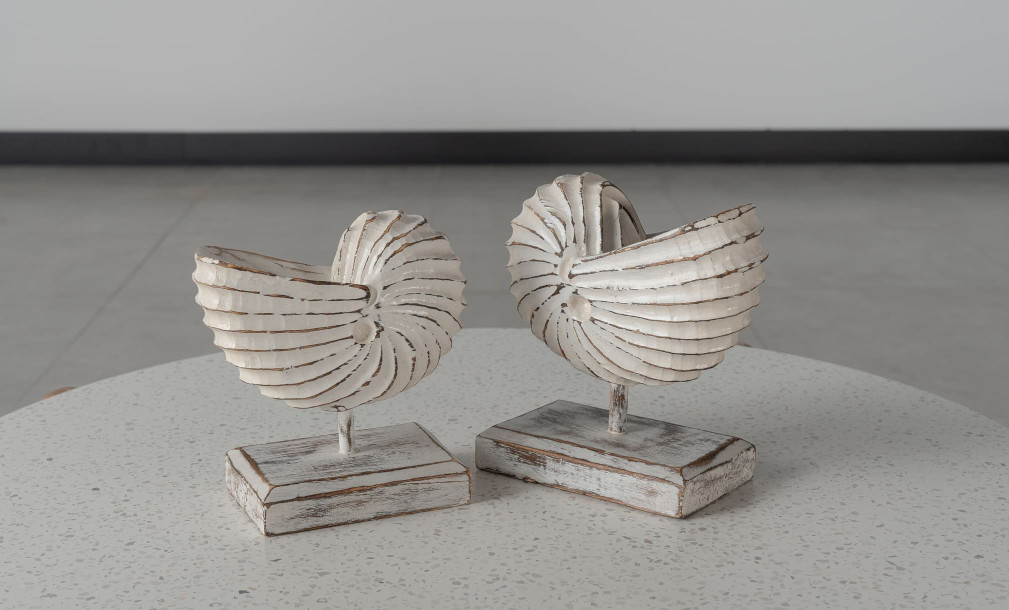 Wooden Decoration Motive Seashell White Medium