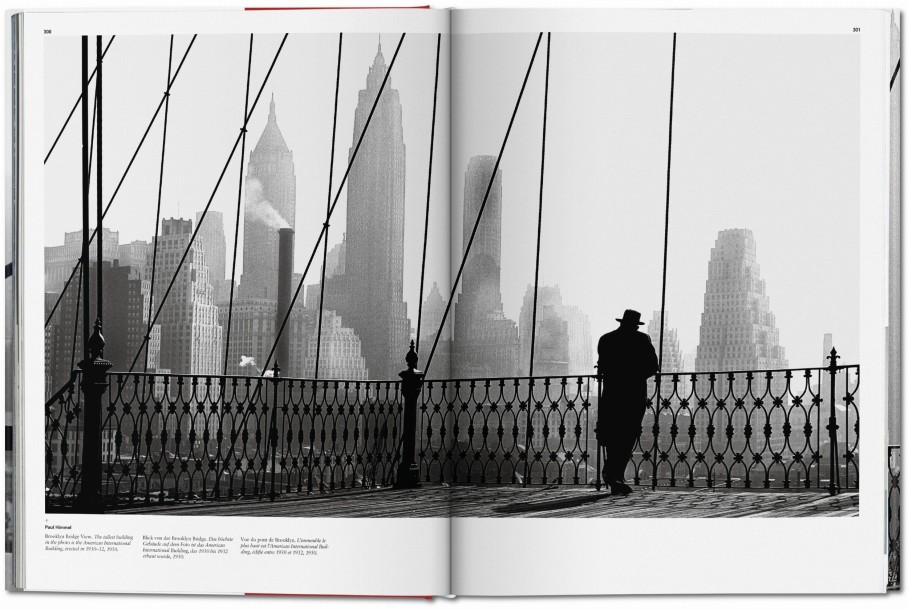 Portrait, New York