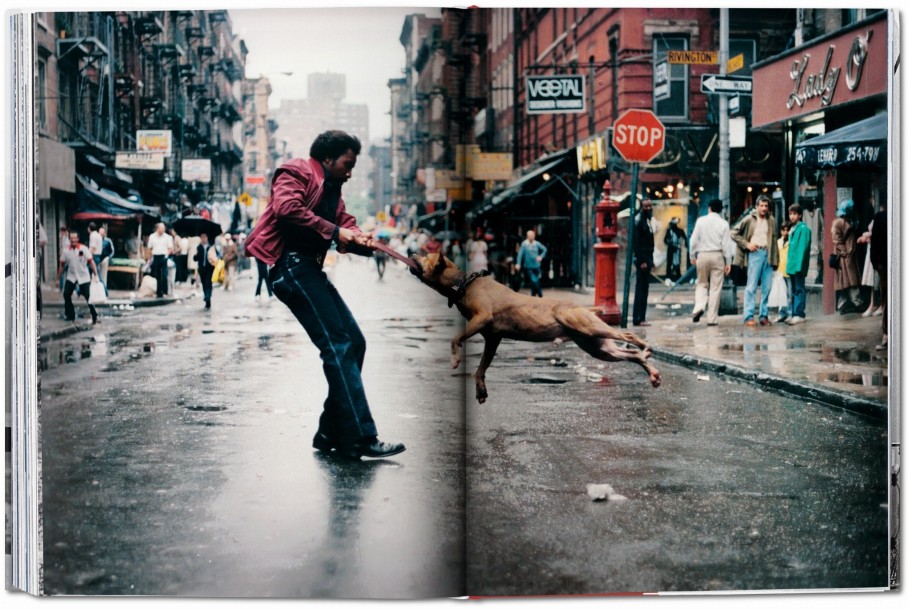 Portrait, New York