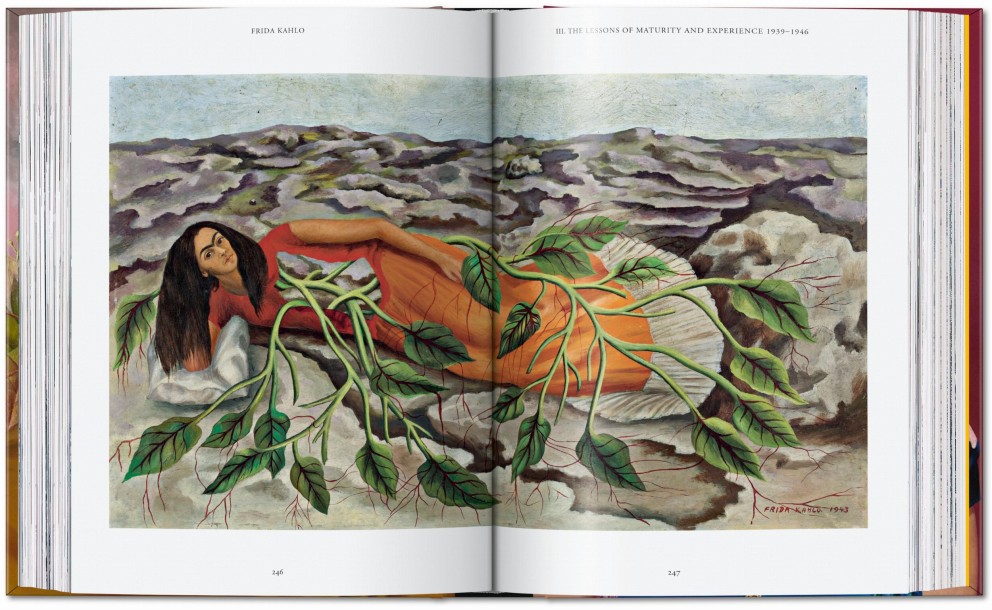 Kahlo, Paintings