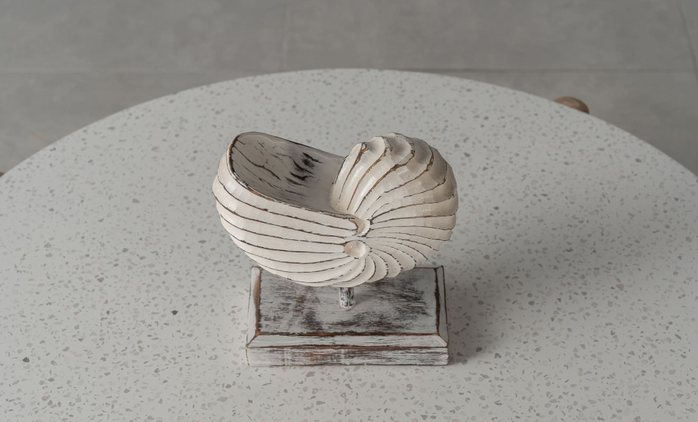 Wooden DecorationMotive Seashell White Large