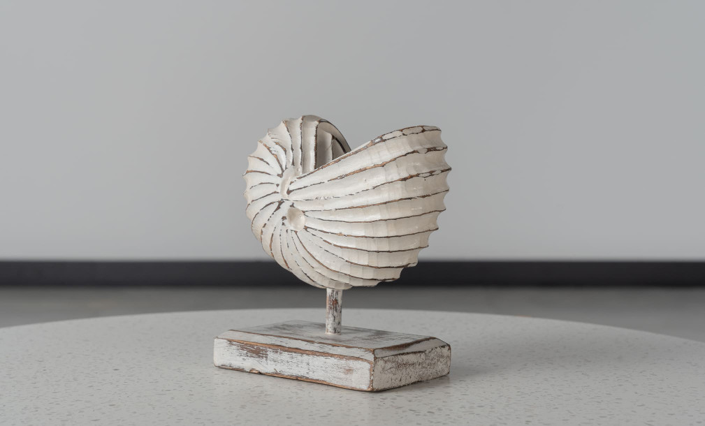 Wooden DecorationMotive Seashell White Large