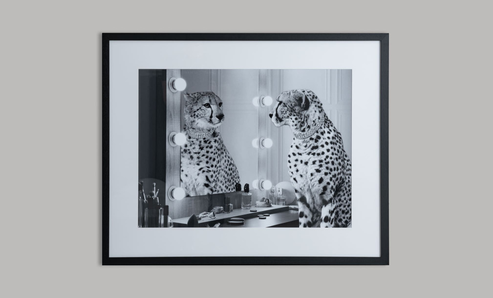 Poster Cheetah Wild Beauty