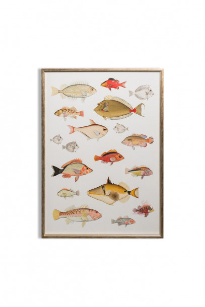Symphony of Fishes Poster