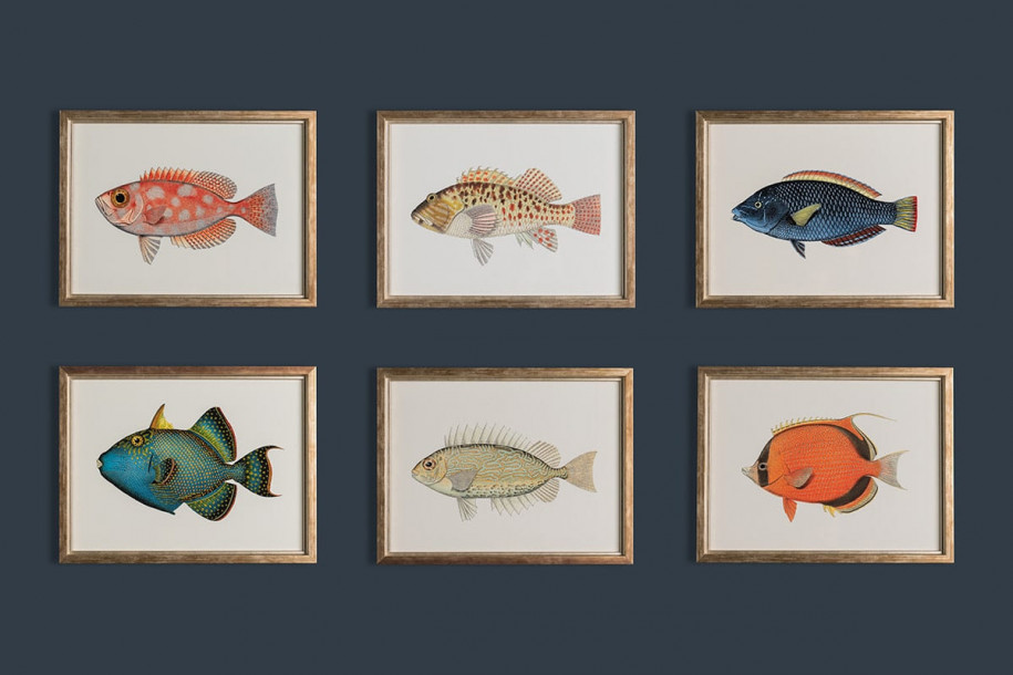 Fishes Posters (Horizontal), set of 6 pcs