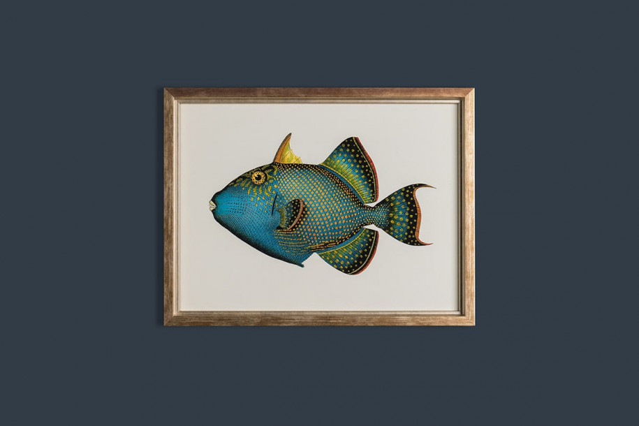 Fishes Posters (Horizontal), set of 6 pcs